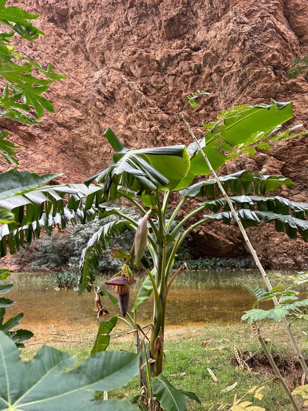 Atlas Wadi Shab เซอ ภายนอก รูปภาพ